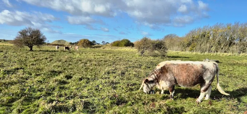 Cabin Hill Nature Reserve Formby
